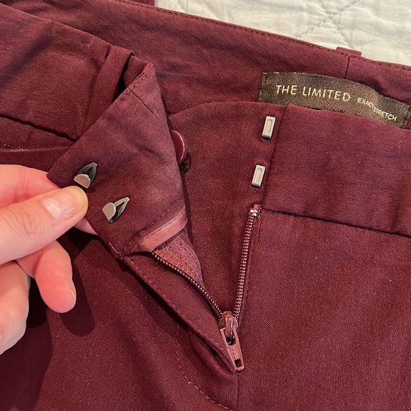 The Limited Exact Stretch Crop Dress Pants - Picture 5 of 7